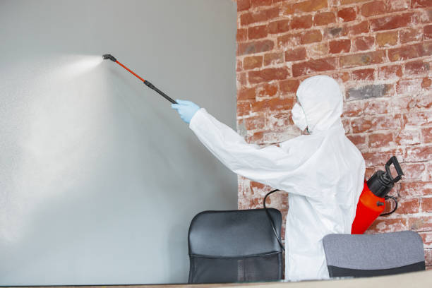 Best Real Estate Mold Inspection  in Canonsburg, PA