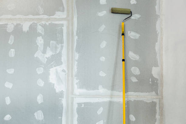 Best Mold-Related Health Consultation  in Canonsburg, PA