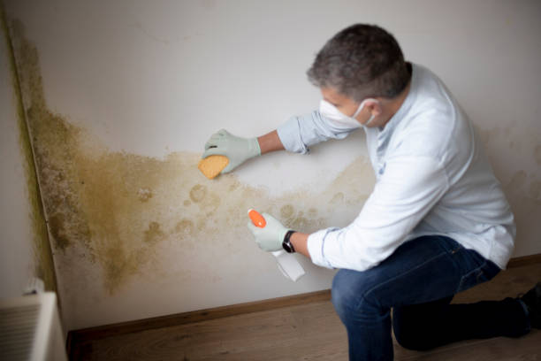 Best Residential Mold Inspection & Testing  in Canonsburg, PA