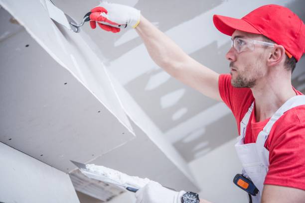 Professional Mold Removal in Canonsburg, PA